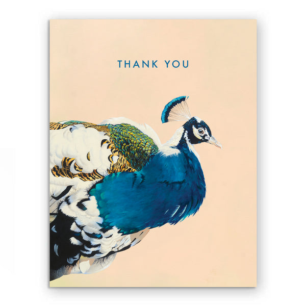 Card - Thank You - Peacock - 6623pea