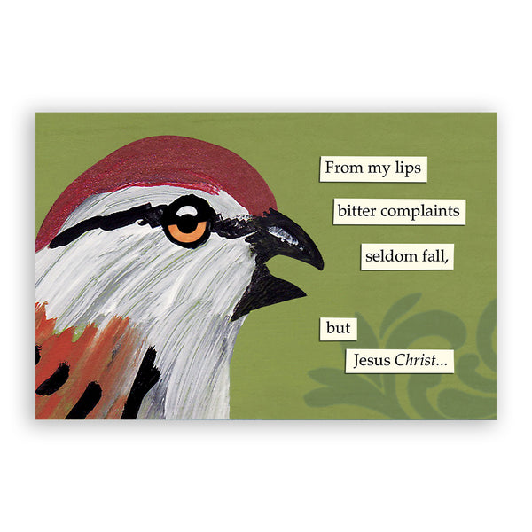 Postcard - Troubled Bird - Bitter Complaints - 9079bit24 - Set of 24