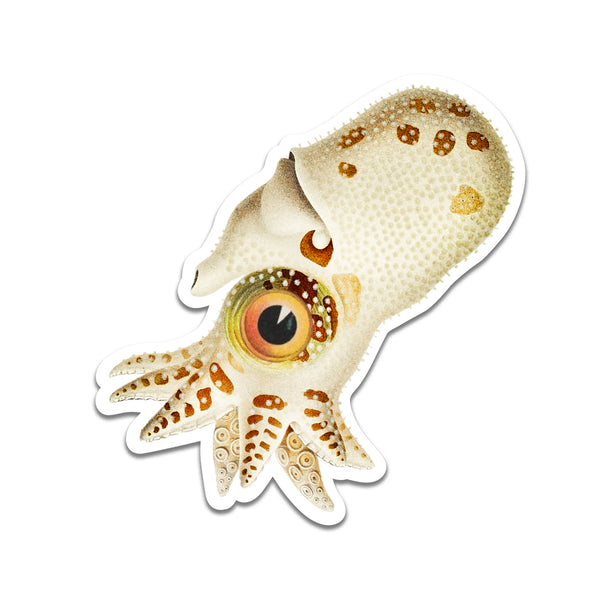 Sticker - Squid - ST-2529