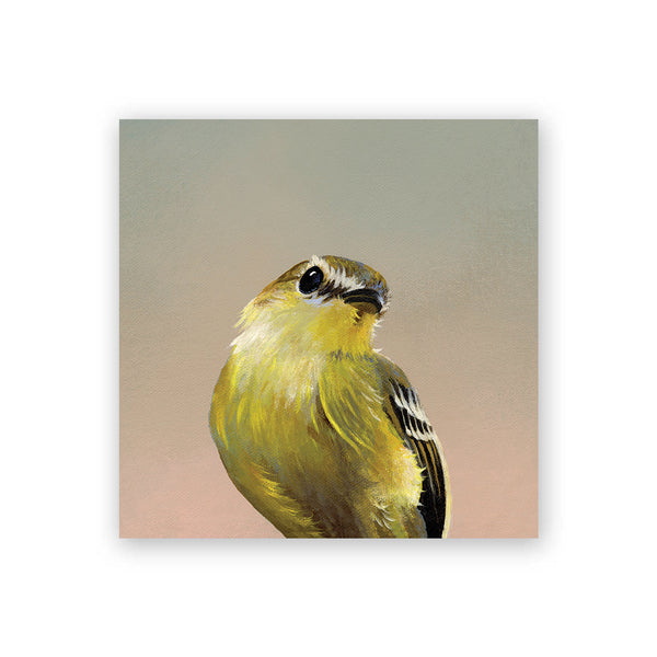 Wings on Wood 4 x 4 Flycatcher - W0013
