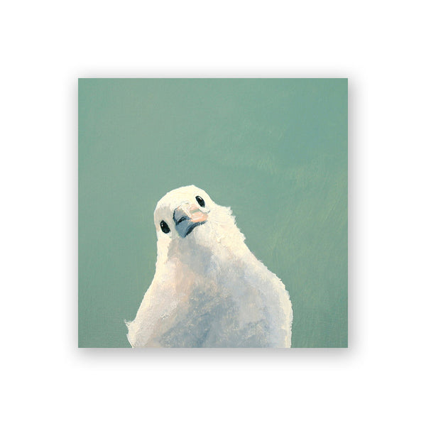 Wings on Wood 4 x 4 White Songbird - W0016