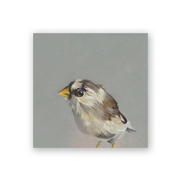 Wings on Wood 4 x 4 Finch - W0019