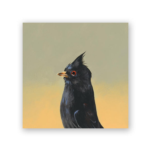Wings on Wood 6 x 6 Phainopepla - W1039
