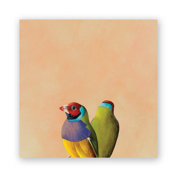 Wings on Wood 8 x 8 Gouldian Finch Pair - W3029