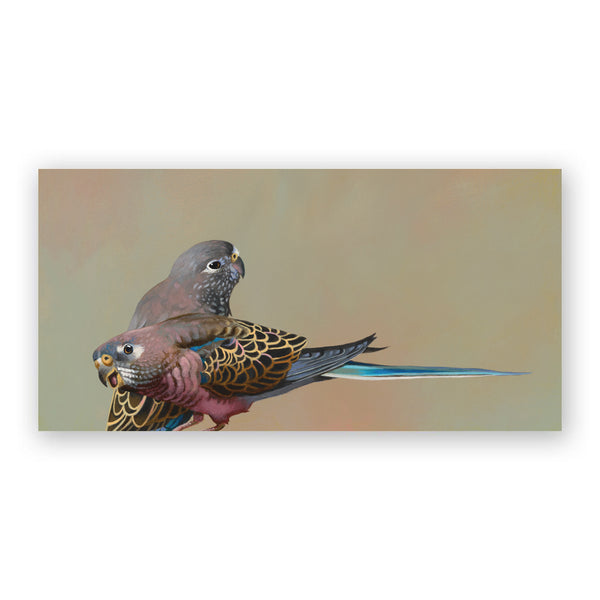 Wings on Wood 12 x 6 Bourke's Parrots - W4007