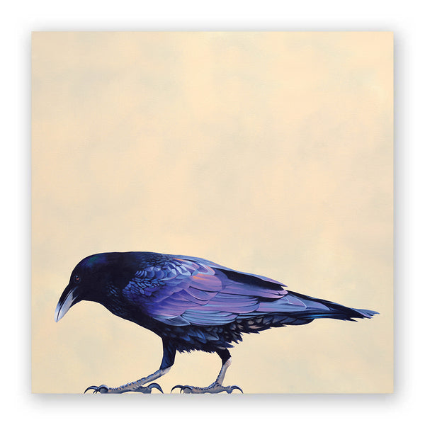 Wings on Wood 10 x 10  - Raven - W6015