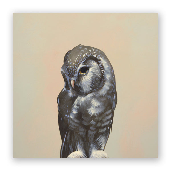 Wings on Wood 10 x 10  - Owl - W6017