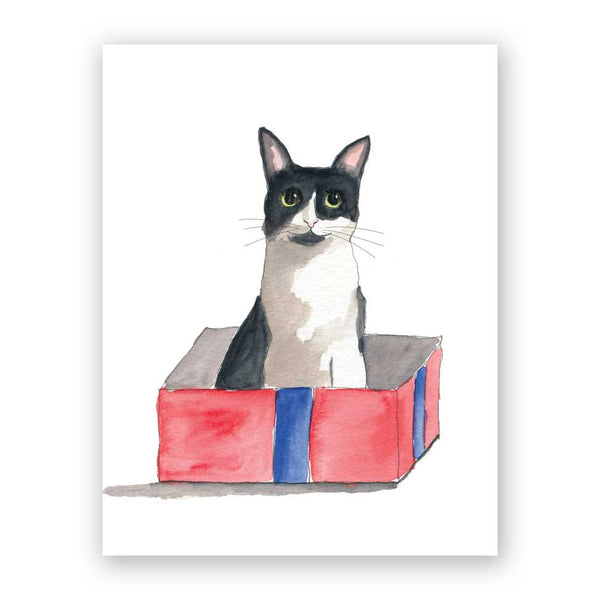 Card Birthday - Box Cat - 3019bxc