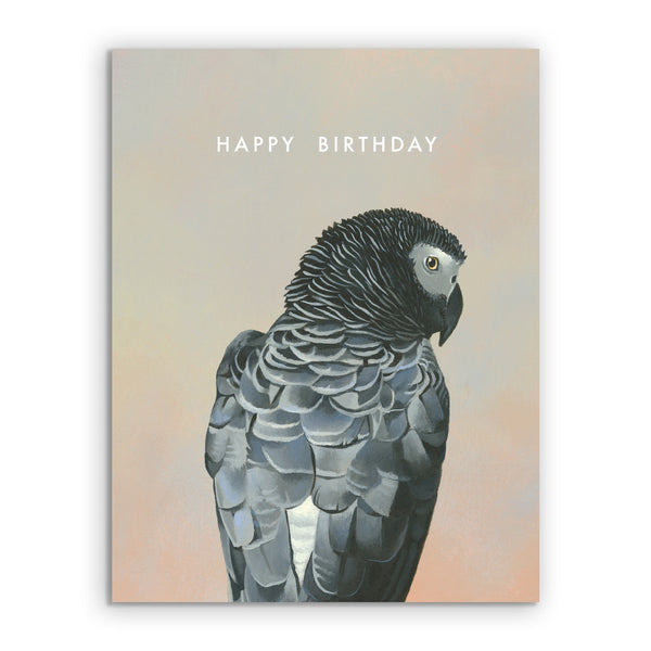 Card - Birthday - African Grey Parrot - 3052afr