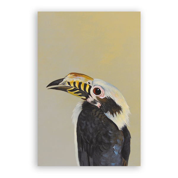 Postcard - Matt Adrian Art - Hornbill - 9063hor24 - Set of 24