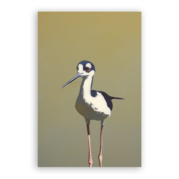 Postcard - Matt Adrian Art - Stilt - 9069sti24 - Set of 24