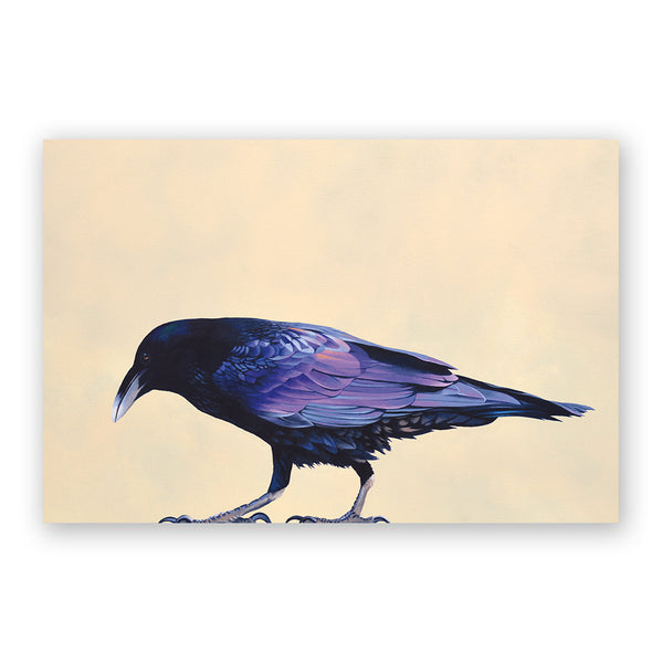 Postcard - Matt Adrian Art - Raven - 9072rav24 - Set of 24
