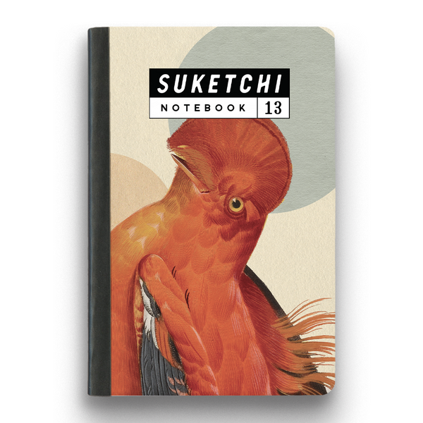 NOTEBOOK - BIRD - MEDIUM - CHI-13