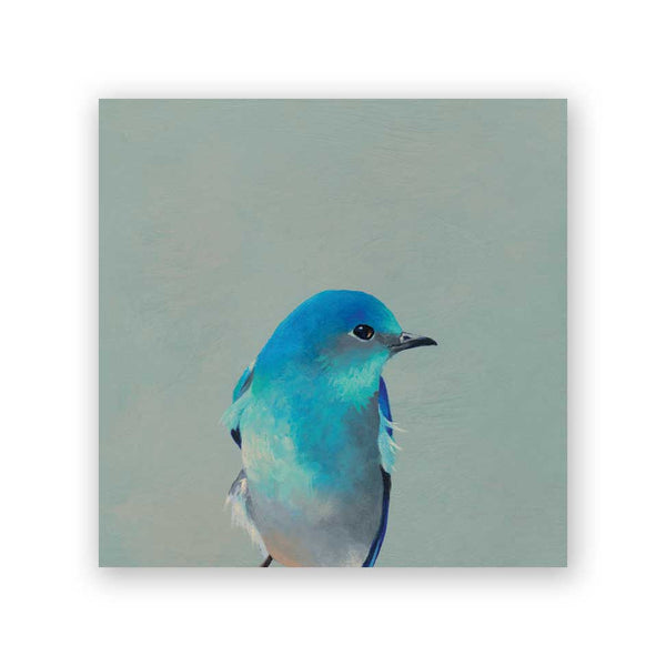 Wings on Wood 6 x 6 Mountain Bluebird - W1011