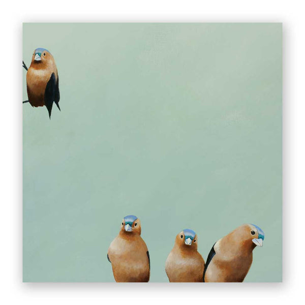 Wings on Wood 10 x 10 Fictional Finch Group - W6003